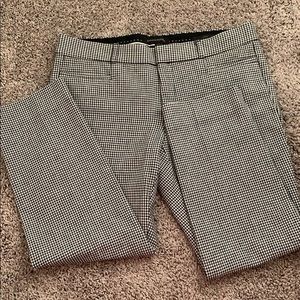 Dress pants